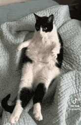 a black and white cat is laying on its back on a blanket with tiktok written on the bottom