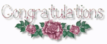 Congratulations बधाईहो GIF - Congratulations बधाईहो गुलाब GIFs