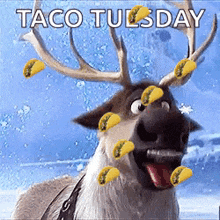 Taco Tuesday Sven GIF - Taco Tuesday Sven Frozen GIFs