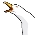 Gull-scream Seagull Sticker - Gull-scream Seagull Screamgull Stickers