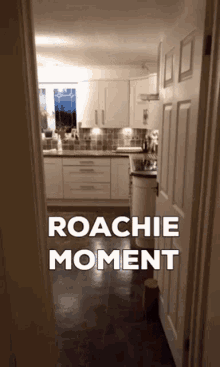 Roachie Alexroach GIF - Roachie Alexroach Roachiemoment GIFs