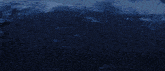 Shorekeeper The Shorekeeper GIF
