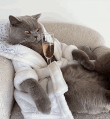 Cat Chilling GIF - Cat Chilling Champagne GIFs