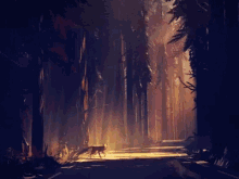 fox forest autumn sunlight