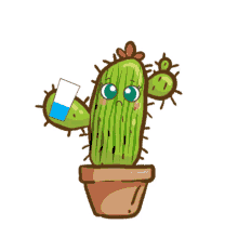 mrhouseplant drink water cactus prickly