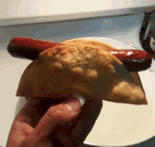 Hotdog Inserted In Taco Hotdog And Taco GIF