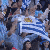 Bandera De Uruguay Aficionados GIF - Bandera De Uruguay Aficionados Uruguay GIFs