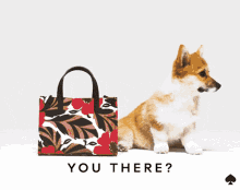 a dog is standing in front of a purse that says " you there " on it