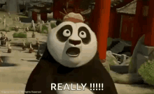 Shocked Po GIF - Shocked Po Kung Fu Panda GIFs