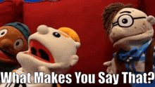 Sml Junior GIF - Sml Junior What Makes You Say That GIFs