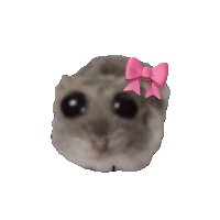 a hamster with a pink bow around its head