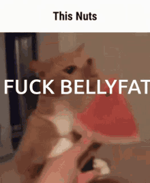 Brickhill Bellyfat GIF - Brickhill Bellyfat This Nuts GIFs