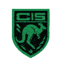 Ci5 Squad 44 Sticker - Ci5 Squad 44 Australia Stickers