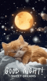 a cat is sleeping under a full moon with the words `` good night sweet dreams '' .