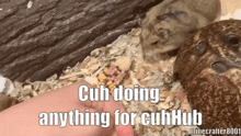 Cuhhub Lazy GIF - Cuhhub Lazy GIFs