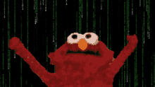 Matrix Elmo GIF - Matrix Elmo Elmo Fire Meme GIFs