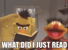 Sesame Street What Did I Just Read GIF