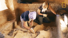 brushing lost treasures of egypt excavating archaeologists investigating the soil