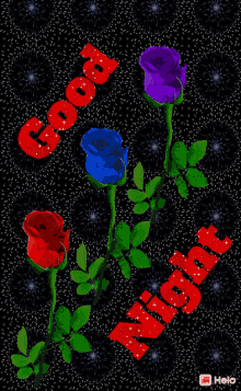 Good Night शुभरात्रि GIF - Good Night शुभरात्रि गुलाब GIFs