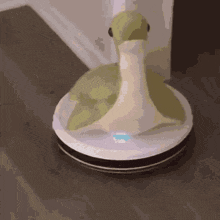 Nessie Roomba GIF - Nessie Roomba GIFs