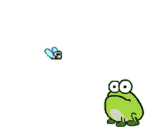 fly grenouille