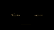Eyes Gekyume GIF - Eyes Gekyume Black Cat GIFs