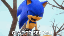 Glad To See You Sonic The Hedgehog GIF - Glad To See You Sonic The Hedgehog Sonic Prime GIFs