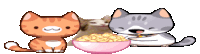 two cats are eating cereal from a bowl while another cat looks on .