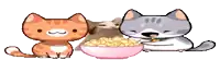 two cats are eating cereal from a bowl while another cat looks on .