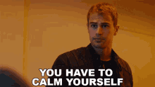 You Have To Calm Yourself Theo James GIF - You Have To Calm Yourself Theo James Four GIFs