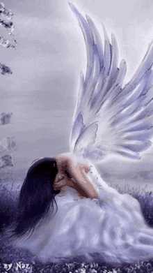 fallen angel wings cry