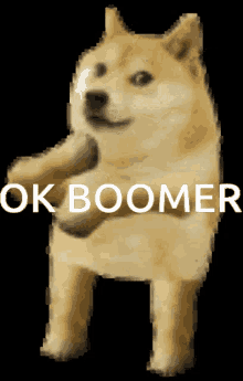 Dog Ok Boomer GIF - Dog Ok Boomer Shiba GIFs