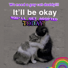 two cats hugging with the words we need a gay cat daddy it 'll be okay you ll get adopted today