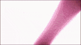 a close up of a pink silhouette on a white background .
