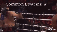 Swarmz Ryan GIF - Swarmz Ryan Ryantaylor GIFs
