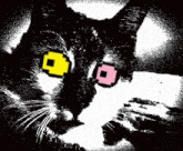 a black and white drawing of a cat with yellow and pink squares in its eyes