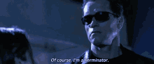You’re Basically A Robot..You Are Usually The Person Everyone Looks To When There Is A Crisis. GIF - Terminator Im Terminator Arnold Schwarzenegger GIFs
