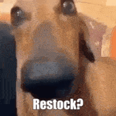 Restock GIF - Restock GIFs