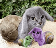 a cat with a snail on its back and two rabbits on their backs