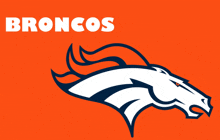 Denver Broncos GIF