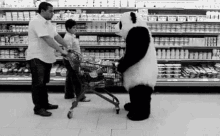 angry panda grocery never say no panda cheese commercial