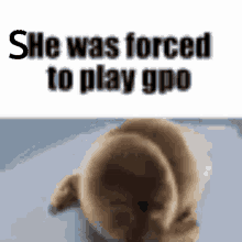 Gpo Gaygpo GIF - Gpo Gaygpo Lgpo GIFs