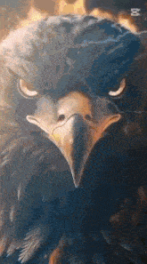 a close up of an eagle 's face with fire in the background