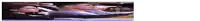 a man and a woman are sitting in a car together .