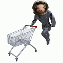 a pig wearing a helmet pushes a shopping cart