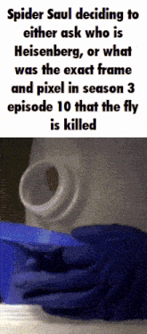 spider saul decided to either ask who is heisberg or what was the exact frame and pixel in season 3 episode 10 that the fly is killed