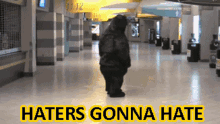Boston Bruins Haters Gonna Hate GIF