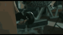Sissi Coupe Gym GIF - Sissi Coupe Gym Weights GIFs