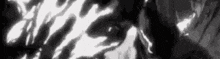 a black and white photo of a zebra print .