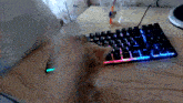 a cat is playing with a keyboard and a cup of water is on the table